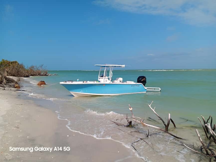 Punta Gorda/Boca Grande: Cayo Costa State Park Boat Tour - Why You Should Consider This Tour