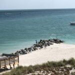 Punta Gorda / Boca Grande Pass : Eco Boat Tour - Exploring Boca Grande Pass and Its Marine Environment