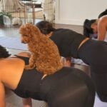 Puppy Yoga Private Groups - The Itinerary Breakdown