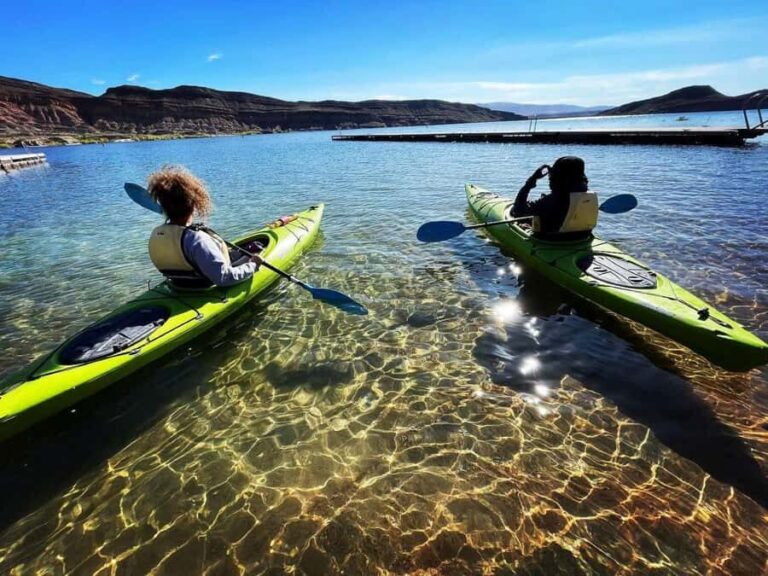 Quail Creek: Kayak or Stand-Up Paddleboard Tour - The Sum Up: Who Will Love This Tour?