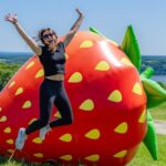 Quebec City - Agricultural Walking Tour on Ile d'Orléans - The Experience for Different Travelers