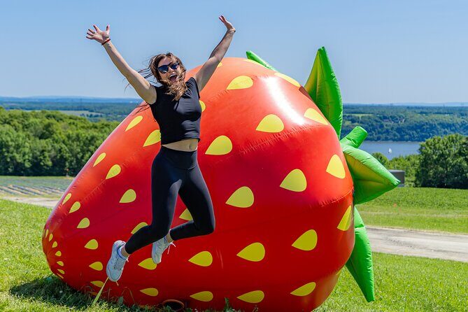 Quebec City - Agricultural Walking Tour on Ile d'Orléans - The Experience for Different Travelers