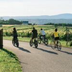 Quebec City - Guided E-Bike Tour & Tastings - Ile d'Orléans - The Experience: What Makes It Stand Out