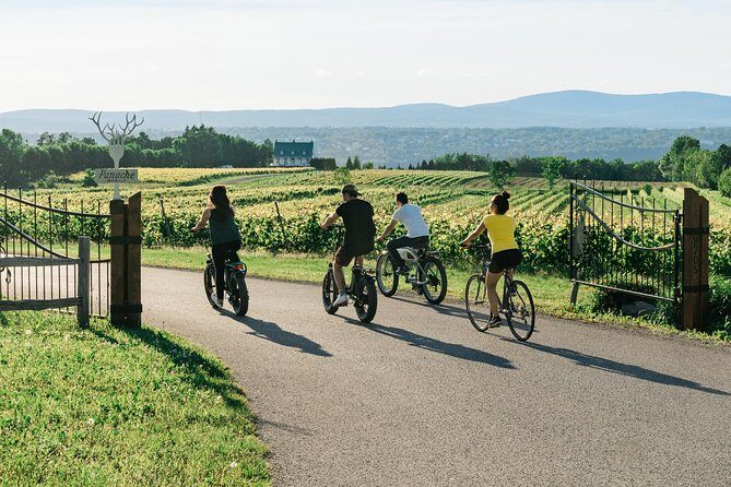 Quebec City - Guided E-Bike Tour & Tastings - Ile d'Orléans - The Experience: What Makes It Stand Out