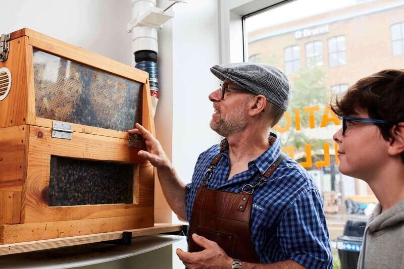 Quebec City: Honey and Distillery Tour with Tasting - What You Can Expect During the Tour