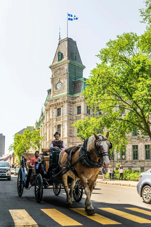 Québec City: Private Walking Tour of City Highlights - Who This Tour Is Best For