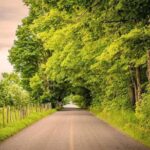 Quebec City - Regular Bike Rental on Ile d'Orléans - Authentic Experiences & Feedback from Travelers