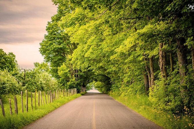 Quebec City - Regular Bike Rental on Ile d'Orléans - Authentic Experiences & Feedback from Travelers