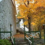 Quebec: City Tour, Montmorency Falls & Île d'Orléans Tour - Transportation and Group Dynamics