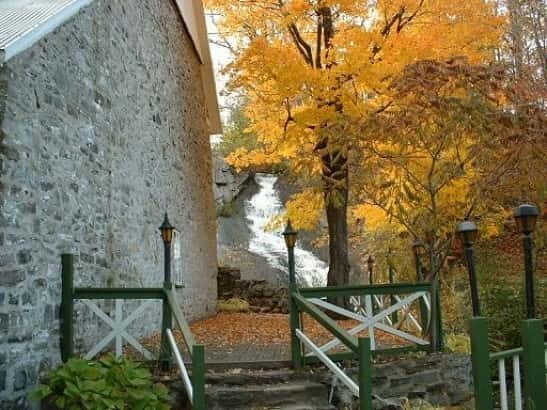 Quebec: City Tour, Montmorency Falls & Île d'Orléans Tour - Transportation and Group Dynamics