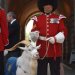 Quebec: La Citadelle de Québec Ticket and Guided Tour - The Experience in Detail