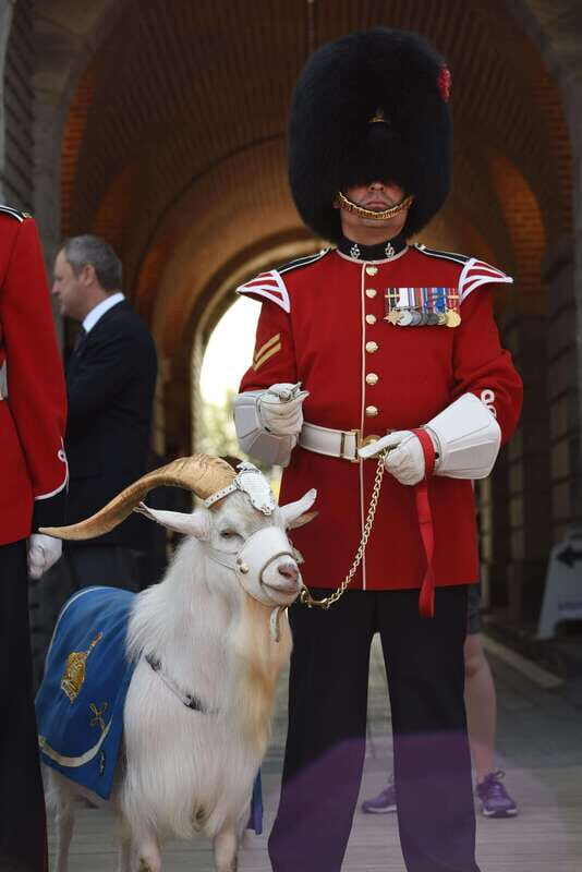 Quebec: La Citadelle de Québec Ticket and Guided Tour - The Experience in Detail