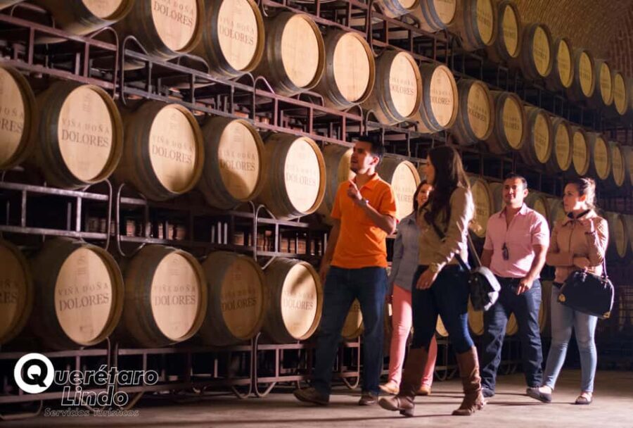 Querétaro: Art, Cheese and Wine Route - The Transportation and Group Atmosphere