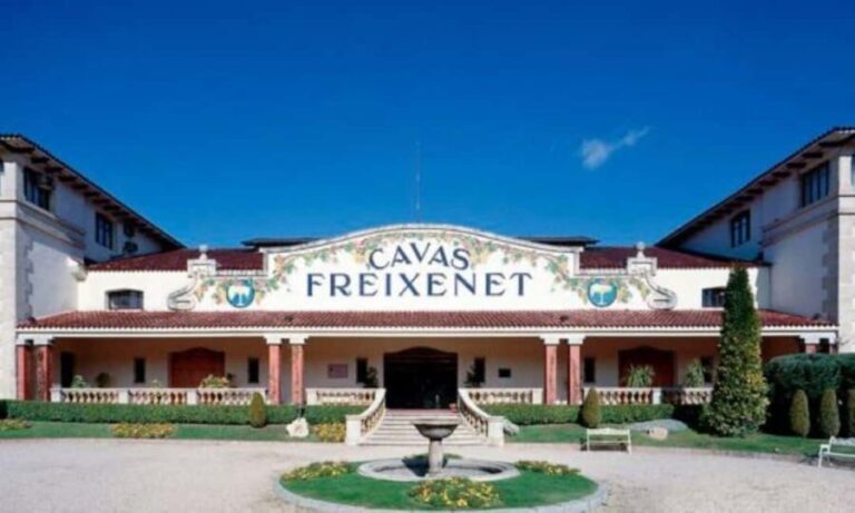 Querétaro: Cheese and Wine Tasting Tour - An In-Depth Look at the Experience