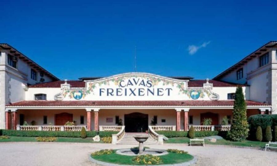 Querétaro: Cheese and Wine Tasting Tour - An In-Depth Look at the Experience