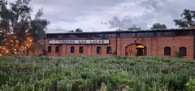 Querétaro: Independence Valley - Guanajuato Wine Tour - Pricing and Value