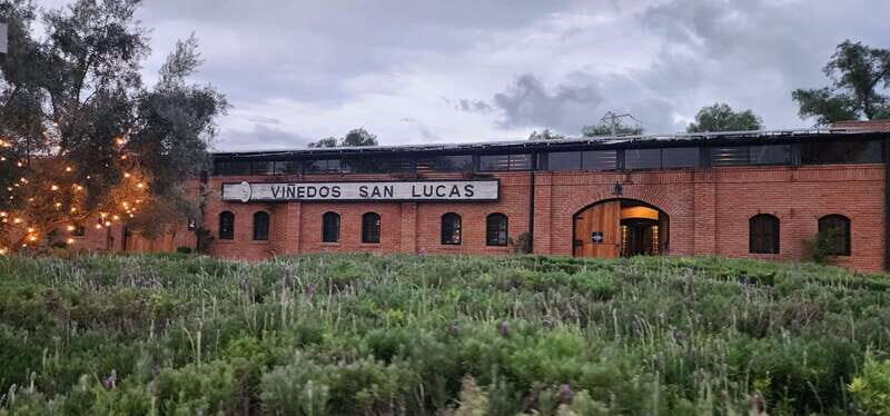 Querétaro: Independence Valley - Guanajuato Wine Tour - Pricing and Value