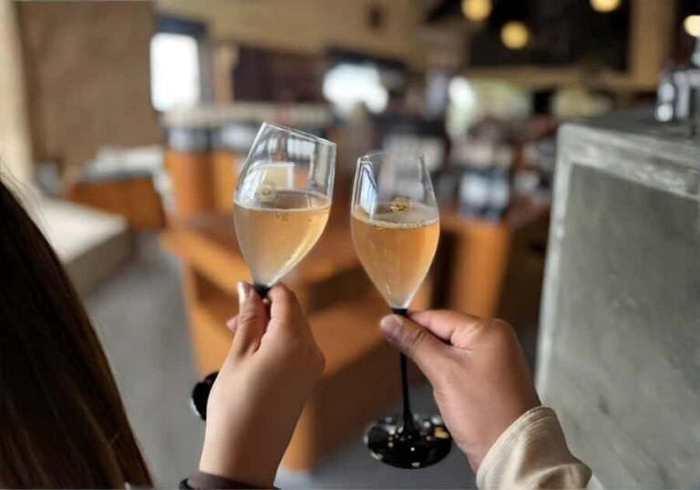 Querétaro: Peña de Bernal y Cavas de Freixenet - The Freixenet Caves: Underground Sparkling Wine Experience