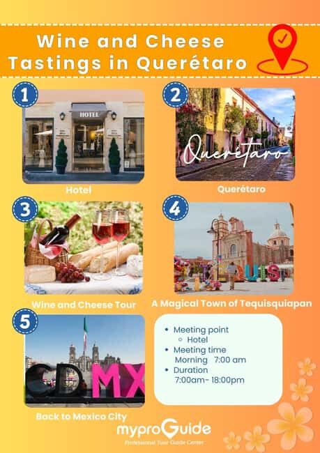 Querétaro: Wine and Cheese Tastings (ENG/CH Private/Join) - The Practicalities: What to Expect