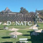 Queretaro Wine Experience - What Makes This Tour Special?