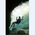 Quintana Roo: Cenote Dive - Who Should Book This Tour?