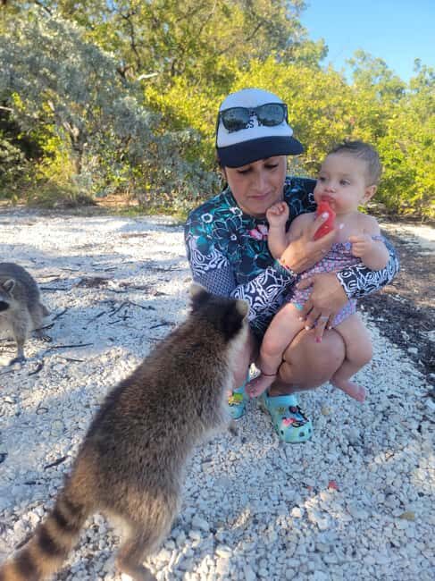 Raccoon Island: Exploration on SUP/Kayak - What Makes It Stand Out?