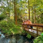 Rainbow River: Waterfall Hike Paddle Adventure - The Itinerary in Detail