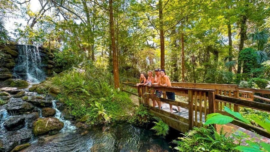 Rainbow River: Waterfall Hike Paddle Adventure - The Itinerary in Detail