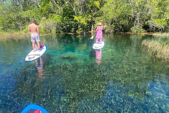 Rainbow Springs Electric Paddle Board Rentals - Who Should Book This?