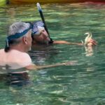 Rainbow Springs: Rainbow River Snorkel & Sightseeing Cruise - How the Tour Works: An Itinerary Breakdown