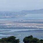 Rainforest to Reef Full-Day: Bike, Hike, Sail and Snorkel - Why This Tour Offers Real Value