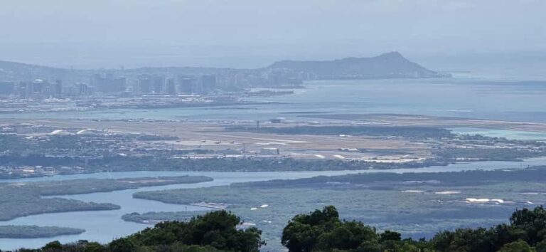 Rainforest to Reef Full-Day: Bike, Hike, Sail and Snorkel - Why This Tour Offers Real Value