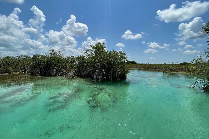 Rapids EN Bacalar Tour from Cancun and Riviera Maya - What We Like and What to Consider