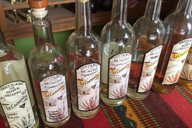 Real Mezcal Adventure - What We Learned from Real Travelers
