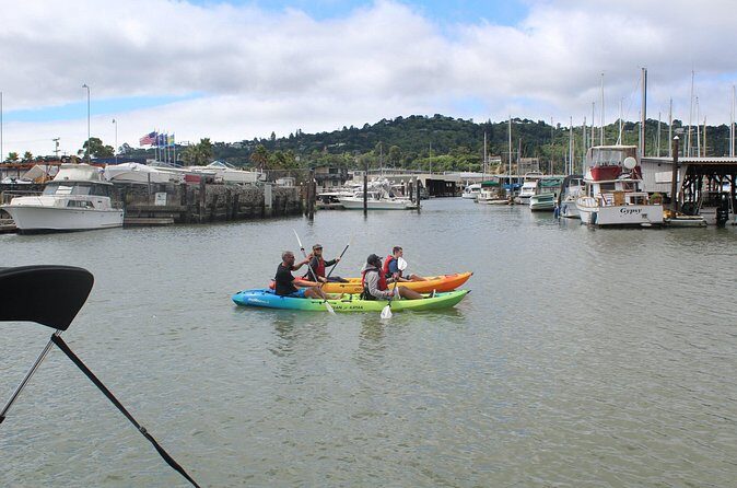 Redwood City Double Kayak Rental - Why This Experience Works