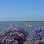 Redwood City: Kayak Rental - FAQ