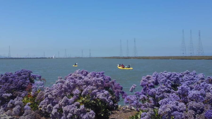 Redwood City: Kayak Rental - FAQ