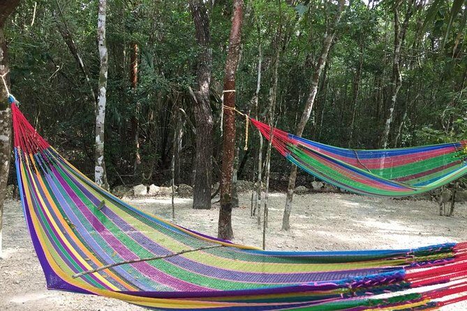 Reef Snorkel + 3 Cenotes with local food experience! - Real Traveler Insights and Expectations