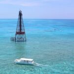 Reef Snorkel Adventure at Sombrero Key Light Reef - The Value of the Experience