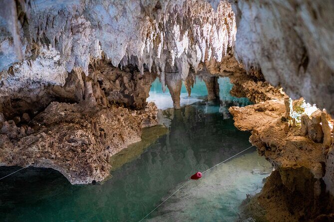 Reef Snorkel and Cenote Experience - Who Is This Tour Best Suited For?
