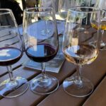 Relaxing Afternoon Wine Tour through Niagara's Wine Country - Practicalities and Value