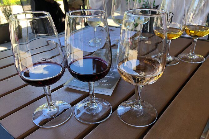 Relaxing Afternoon Wine Tour through Niagara's Wine Country - Practicalities and Value