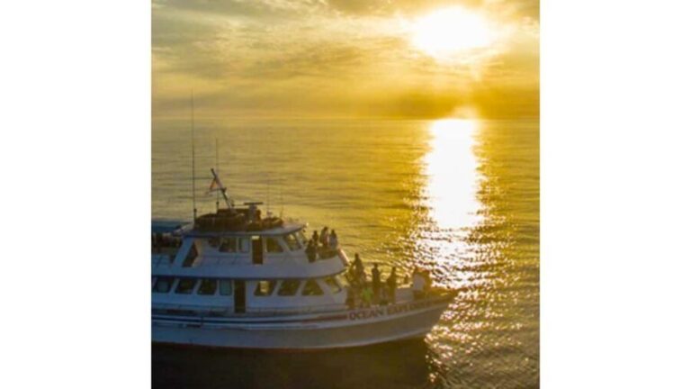 Relaxing Sunset/Evening Cruise in Newport Beach - Authentic Experiences and Real Insights