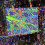 Reno: Splatter Paint Room Experience - Final Thoughts: Who Should Consider This?