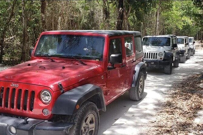 Rent Jeep 4 Doors with Air Conditioning Cozumel Excursion - How the Experience Unfolds