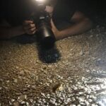 Reptile and Amphibian Night Adventure in Yucatán Jungle - The Practical Details