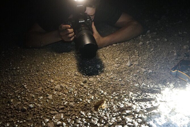 Reptile and Amphibian Night Adventure in Yucatán Jungle - The Practical Details