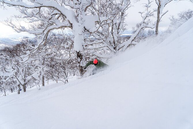 Revelstoke Mountain Photography Tours - Final Thoughts: Who Should Consider This Tour?
