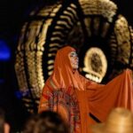 Rhythms of the Night Gourmet Dinner show, Boat Tour, open bar - Who Should Consider This Tour?