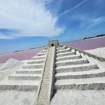 Ría Lagartos Biosphere Reserve & Las Coloradas Adventure - Discovering the Itinerary: A Detailed Walkthrough